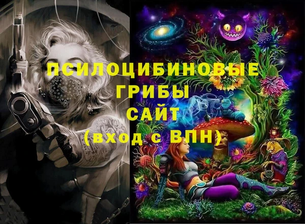 ECSTASY Лиски