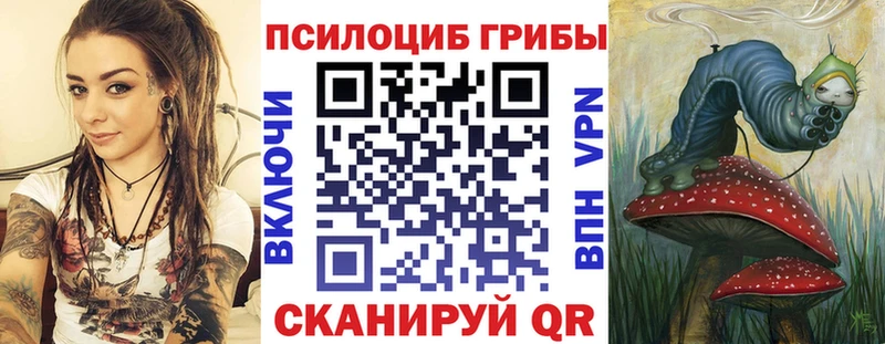 omg ТОР  Комсомольск-на-Амуре  Галлюциногенные грибы прущие грибы  наркошоп 